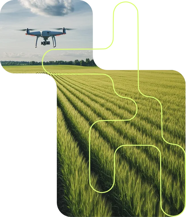 Drone over agricultural fields with technology graphic